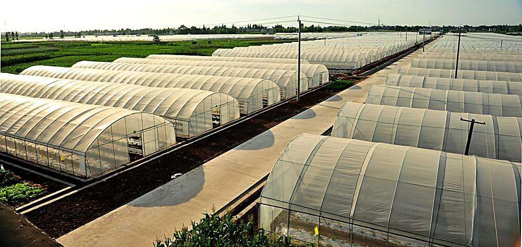 温室大棚